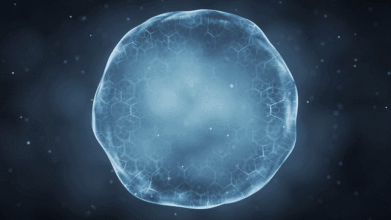 细胞工厂与传统发酵：构建高效生物制药的注意事项