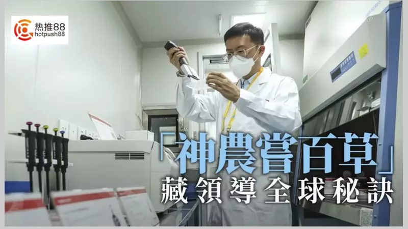 CDMO项目评估表格：评估关键要素与选型指南
