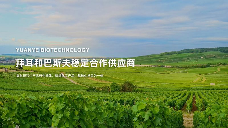 用户体验差如何削弱CRO项目效果