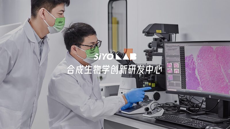 CDMO服务流程外包：揭秘制药企业的秘密武器