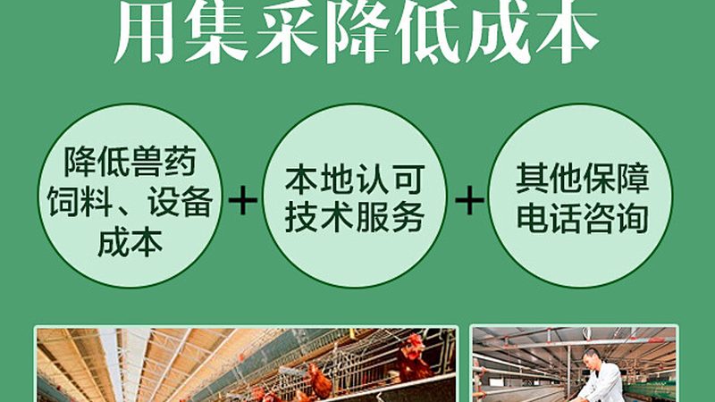 细胞培养实验设计，如何确保实验结果的可靠性？**