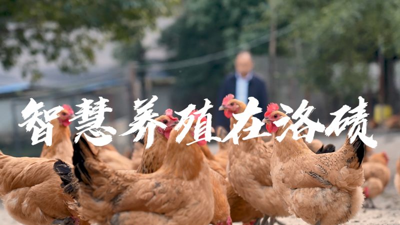 抗体亲和力测定实验：生物制品应用的关键环节